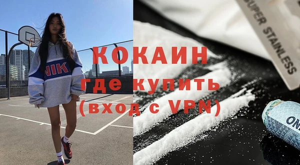 гашик Арсеньев