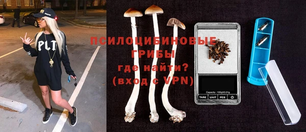гашик Арсеньев