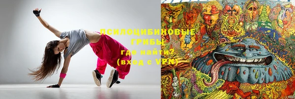 ПСИЛОЦИБИНОВЫЕ ГРИБЫ Аркадак