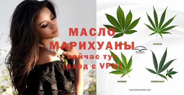 гашик Арсеньев