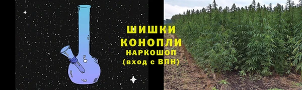 ПСИЛОЦИБИНОВЫЕ ГРИБЫ Аркадак